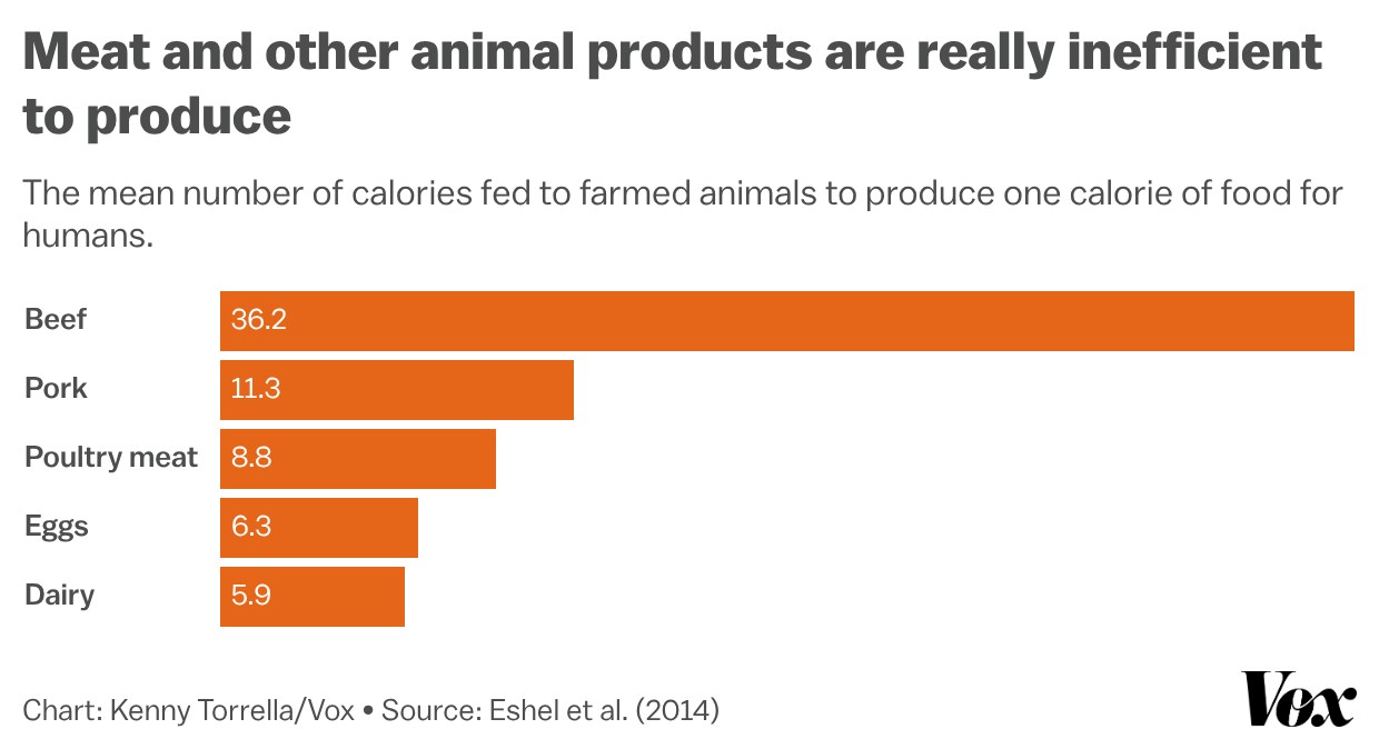 Chart showing that meat and other animal products are really inefficient to produce