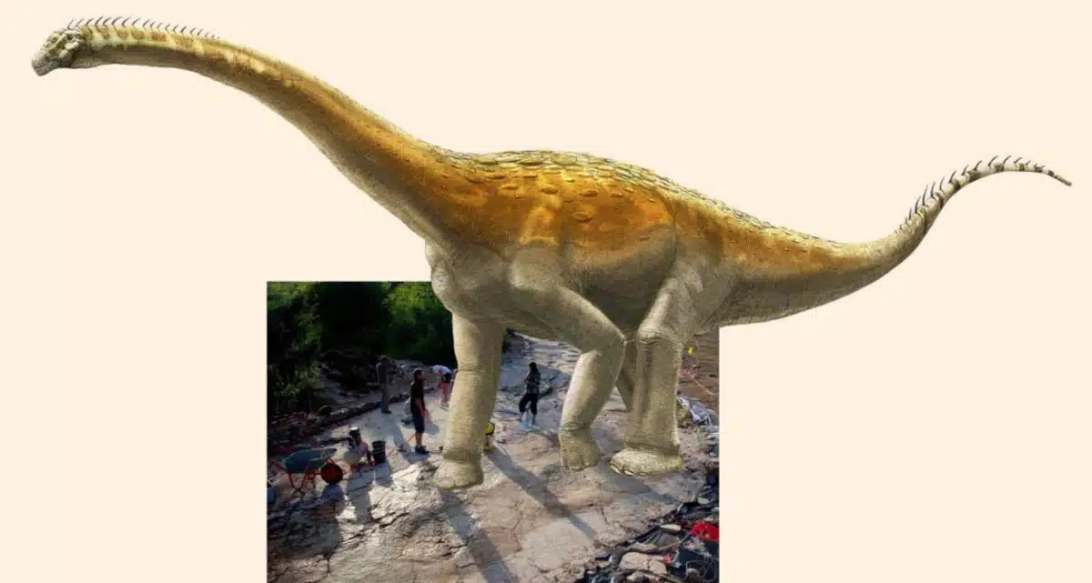 Reconstruction Of The Sauropod That Left The Massive Footprints At Plagne.