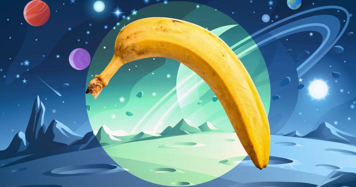 Houston, we have a performance problem — why men can't get erections in space