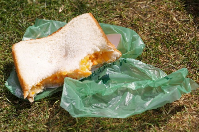 AUGUSTA, GA - APRIL 08: One of Augusta National's famed pimento cheese sandwiches is seen during the second round of the 2011 Masters Tournament at Augusta National Golf Club on April 8, 2011 in Augusta, Georgia. (Photo by Jamie Squire/Getty Images)