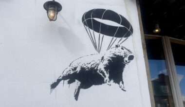 Is Banksy back? Graffiti paying homage to escaped capybara deepens mystery | News UK