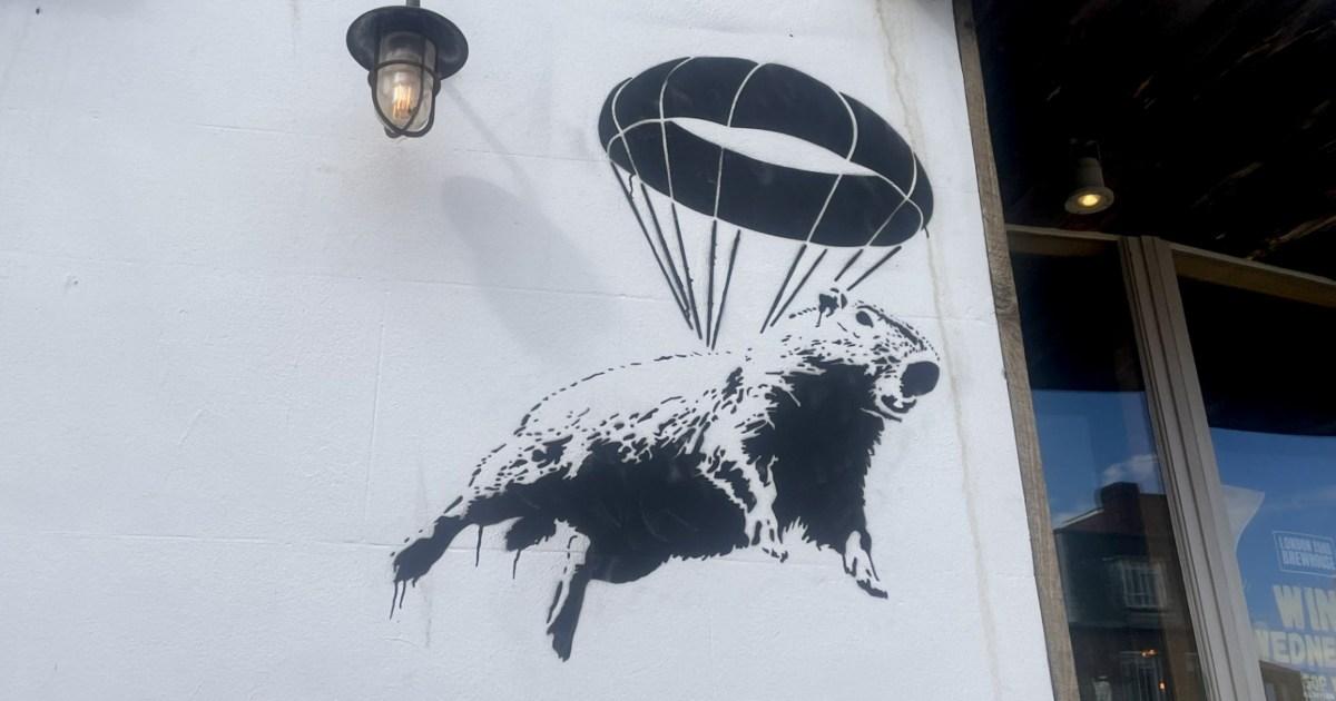 Is Banksy back? Graffiti paying homage to escaped capybara deepens mystery | News UK