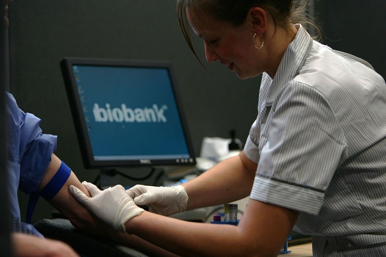 STOCKPORT, UNITED KINGDOM - APRIL 17: A nurse takes blood from a volunteer ready to be stored in the UK Biobank on April 17, 2007, Manchester, England. The new UK Biobank is the largest blood based research project in the world. The research project will involve 500,000 people across the UK and follow their health for next 30 years or more providing a resource for scientists battling diseases. (Photo by Christopher Furlong/Getty Images)