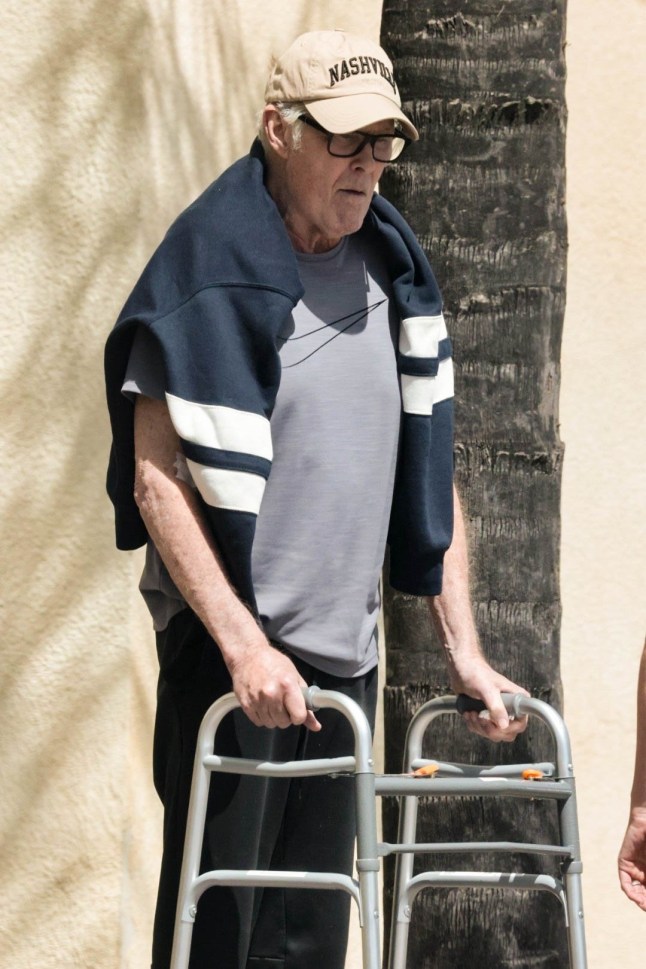 BGUK_3560866 - *PREMIUM-EXCLUSIVE* West Hills, CA MUST CALL FOR PRICING BEFORE USAGE - Former 'Baywatch' star David Hasselhoff, 73 looks frail as he was seen using a walker while out with his wife Haley Roberts in West Hills on April 22, 2026. Pictured: David Hasselhoff BACKGRID UK 24 APRIL 2026 BYLINE MUST READ: WCP,4cnrs / BACKGRID UK: +44 208 344 2007 / uksales@backgrid.com USA: +1 310 798 9111 / usasales@backgrid.com *Pictures Containing Children Please Pixelate Face Prior To Publication*