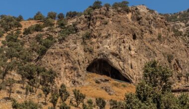 Scientists Discover 50,000 Year Old Neanderthal Baby In A Cave With The Body Of A One Year Old
