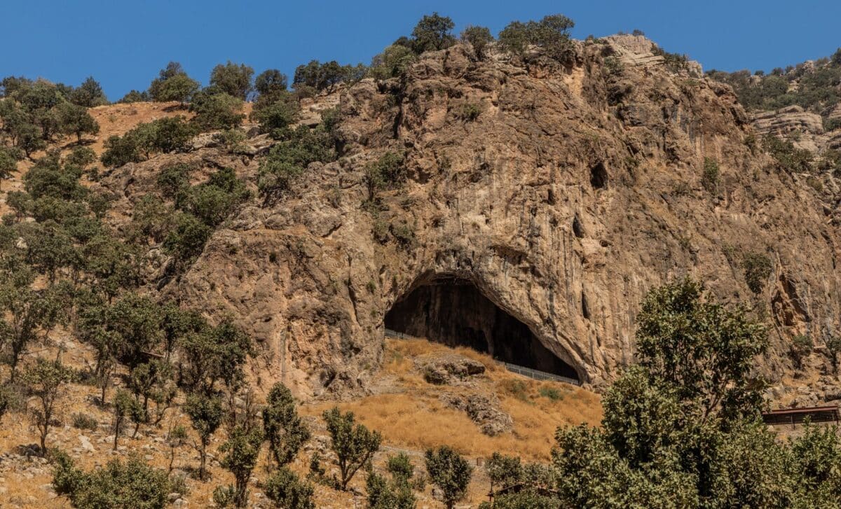 Scientists Discover 50,000 Year Old Neanderthal Baby In A Cave With The Body Of A One Year Old