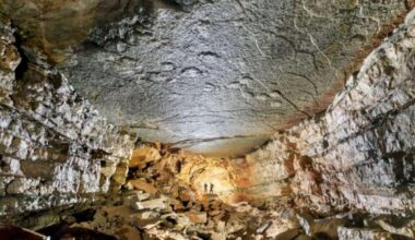 Scientists Discovered Giant Dinosaur Footprints On A Cave Ceiling 500 Meters Underground