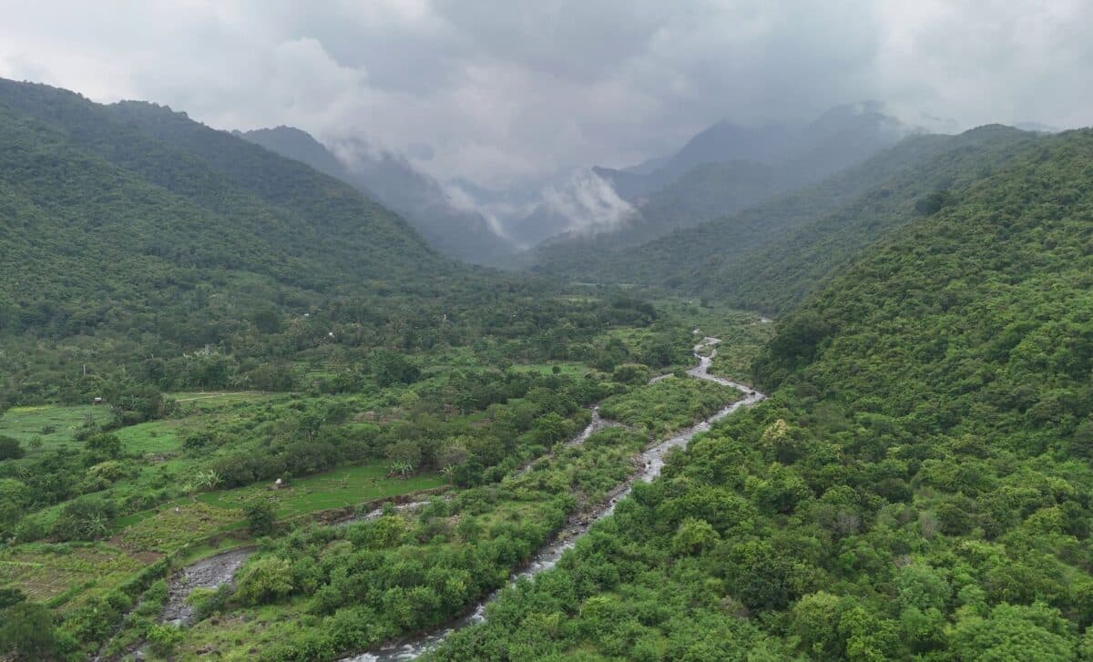 Scientists Found A Fossil Along A River In China It Seems To Have Solved A 160 Million Year Old Mystery