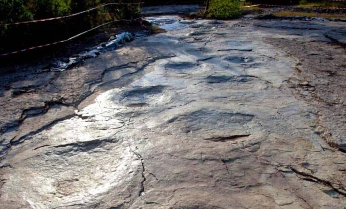 Scientists Identify 35 Meter Dinosaur Behind 110 Perfectly Preserved Footprints, Forming Longest Trackway Ever