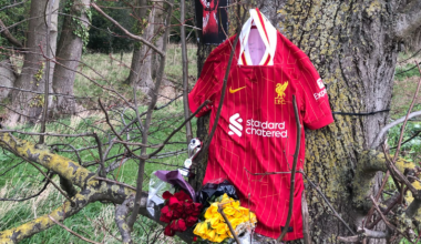 Man and woman arrested after teenage boy killed in collision in Bedfordshire