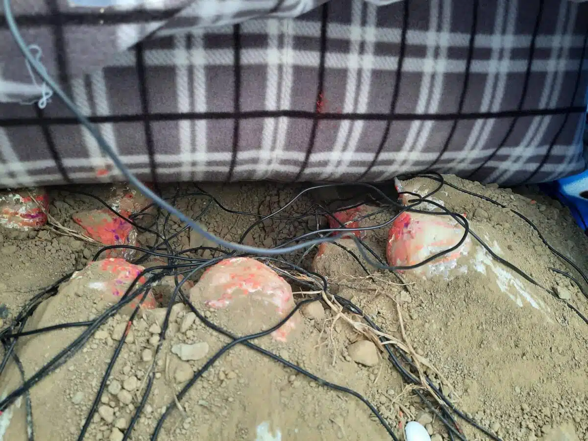 Side View Of The Clutch With The Incubator Placed On Top.