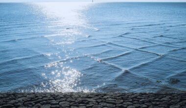 Square Waves Suddenly Appear On Lake Michigan Revealing A Little Known Water Phenomenon