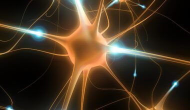 Scientists discover why some brains resist Alzheimer’s decline