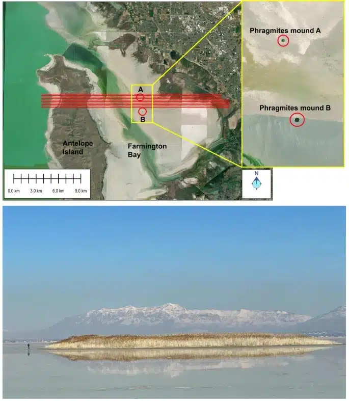 Survey Lines And Reed Covered Mounds Reveal The Location Of A Hidden Freshwater Reservoir Beneath The Great Salt Lake.