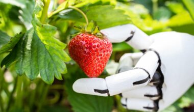 ChatGPT just announced it can finally pass the simple ‘how many “r”s in strawberry’ test, but users are still tripping it up by switching to ‘cranberry’