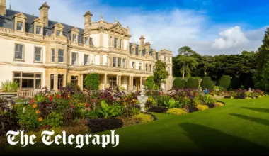 You don’t have to rewild to have a wildlife-friendly garden