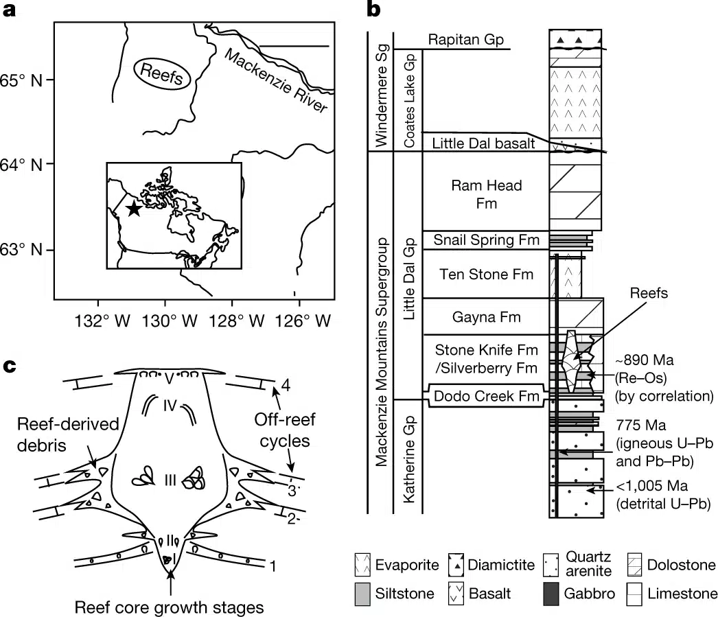 The Geographic And Stratigraphic Location Of The Study Material Is Indicated On The Map Below.