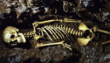 This 4,500 Year Old Skeleton Just Revealed A Lost Link Between Two Ancient Worlds
