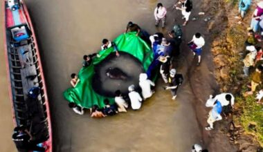 This Freshwater Giant Delivered A Stunning First