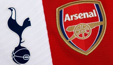 Tottenham 'terrify' relegation rivals as Arsenal handed title boost after defeat