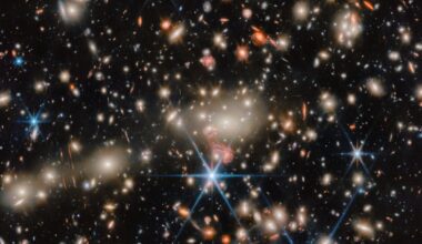 An image of deep space, where blue, red and orange stars twinkle next to golden and orange galaxies.