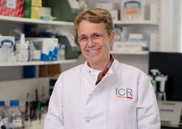 Professor Cathrin Brisken