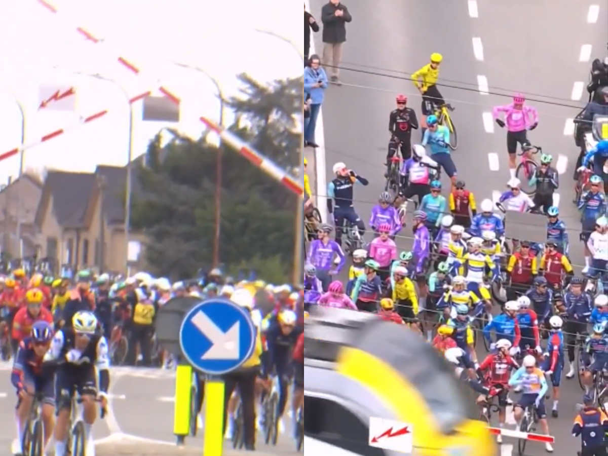 Tadej Pogačar could face driving ban for running red light at railway crossing during Tour of Flanders, as train operator criticises riders setting "bad example" - Cycling News | Bike Reviews