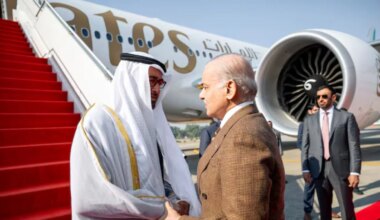 Priyansh Arya scores 11-ball 39 against CSK (Picture credit: AP)