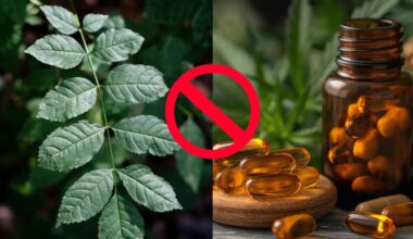 Why has India banned the use of ashwagandha leaves? – Firstpost