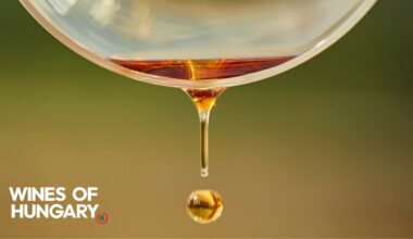 Three of the trends driving Wines of Hungary’s UK success