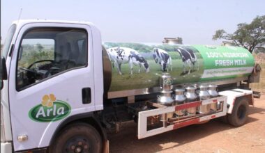 World Health Day: Advancing nutrition, food quality, and sustainable dairy for better health outcomes in Nigeria