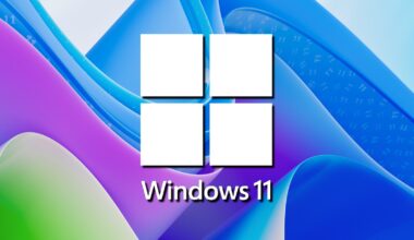 Windows 11