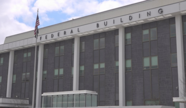 Citizen of United Kingdom pleads guilty to entering without inspection 