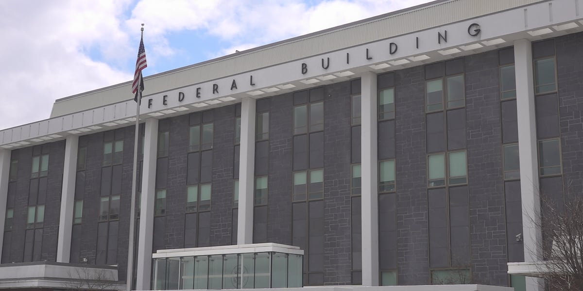 Citizen of United Kingdom pleads guilty to entering without inspection 