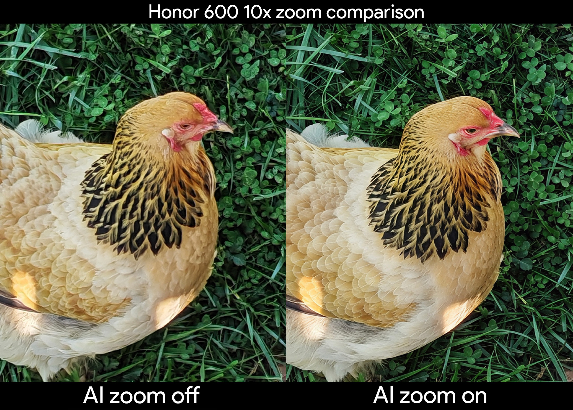 Comparing a 10x zoomed-in photo taken from an Honor 600 with AI zoom turned disabled with the same image using AI-enhanced zoom