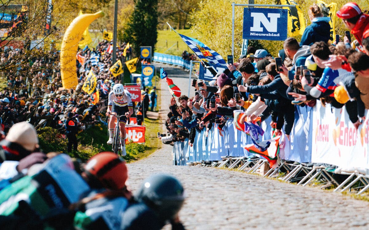 Pogačar Tour of Flanders