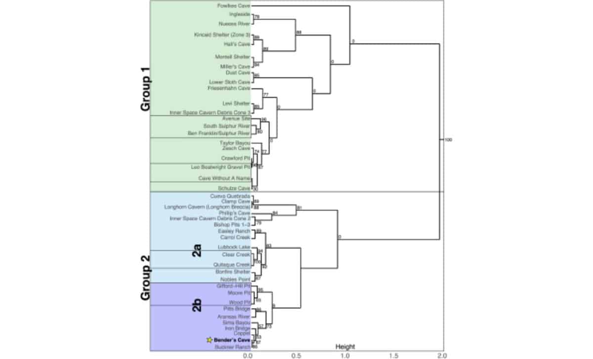 A Cluster Analysis Dendrogram Grouping 43 Late Pleistocene Texas Sites By Megafauna Similarity, With Statistically Significant Clusters Highlighted.©quaternary Research