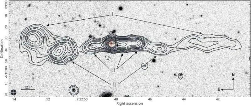 A Rare Triple Double R