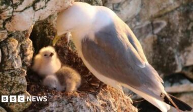 The exterior of a large, Victorian-era hotel, viewed from below. The brickwork is light-coloured, with white windows and a wraparound balcony with white railing around the mid-section of the building.