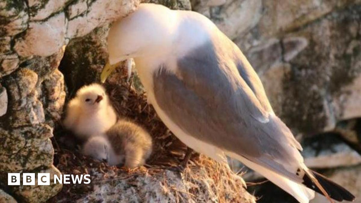 The exterior of a large, Victorian-era hotel, viewed from below. The brickwork is light-coloured, with white windows and a wraparound balcony with white railing around the mid-section of the building.