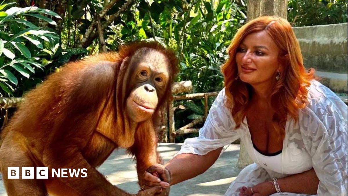 Kelly Kershaw is kneeling down in a white dress holding the hand of an orangutan, which is looking at the camera. Behind them is a forest environment.
