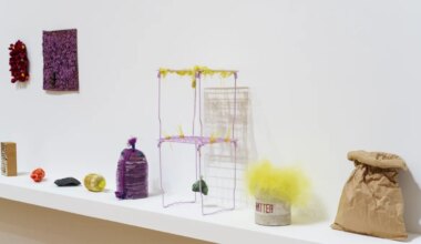 Veronica Ryan review — is it art or rubbish? I know which way I’m leaning…