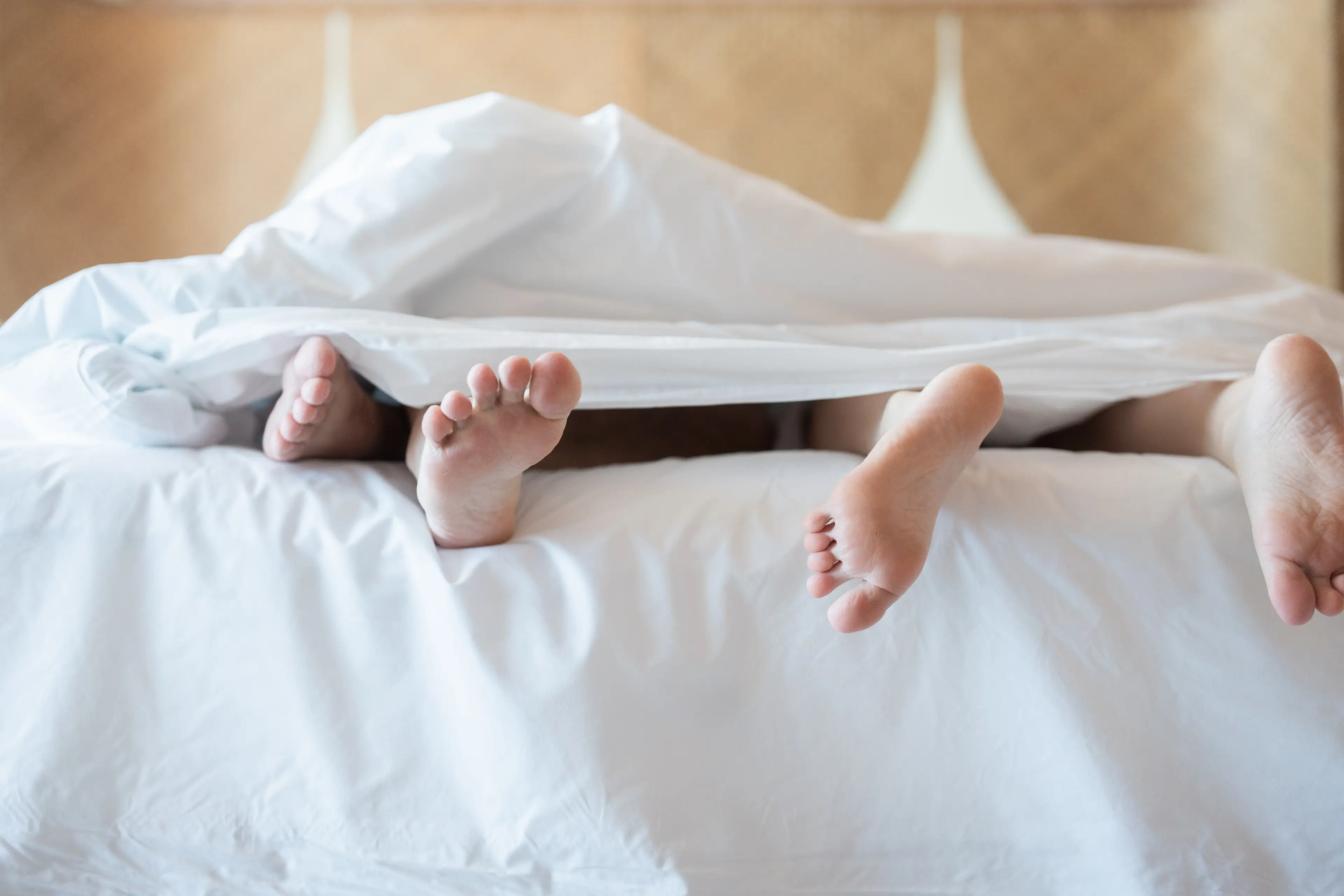 Some are more demanding than others (Jackyenjoyphotography/Getty)