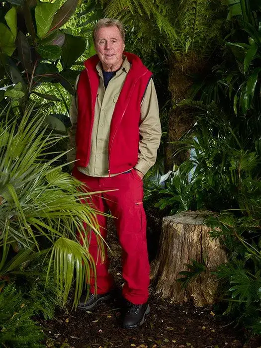 Harry Redknapp is back on the I'm A Celebrity train (ITV)