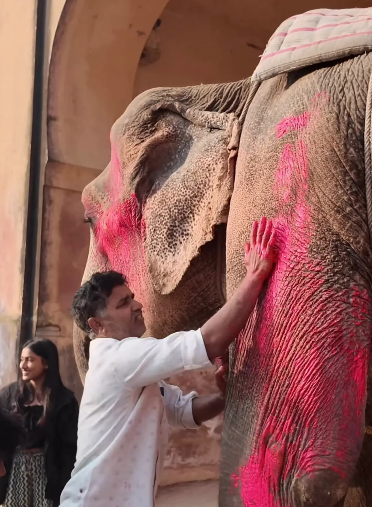 Bright pink colour powder was reportedly used to colour the animal's skin (Instagram/@julia.buruleva)