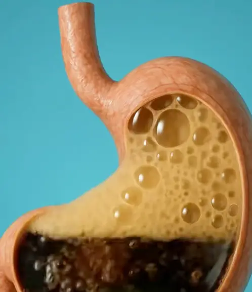 Fizzy drinks have a rapid impact on the body (TikTok/@science.vitals)