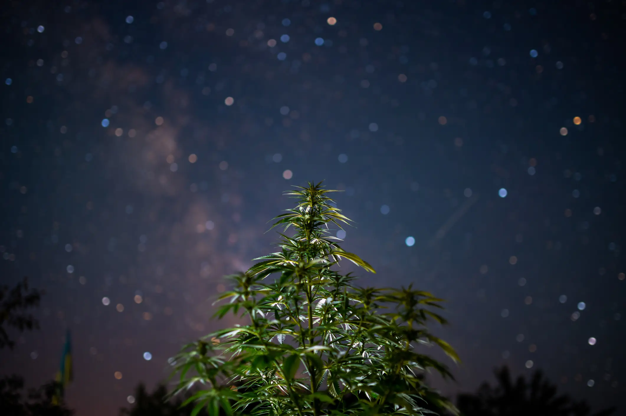 It can mess with your ability to remember things, but doesn't harm your sense of familiarity as much so you can get 'false memories' (Getty Stock Photo)