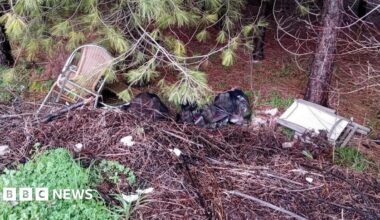 A haul of rubbish dumped at the bottom of a slope in a wooded area, There are wicker chairs with metal arms, a foldable white table and multiple black bin bags of household rubbish.