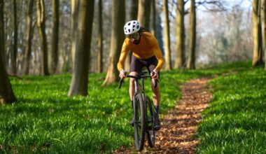 argon 18 dark matter