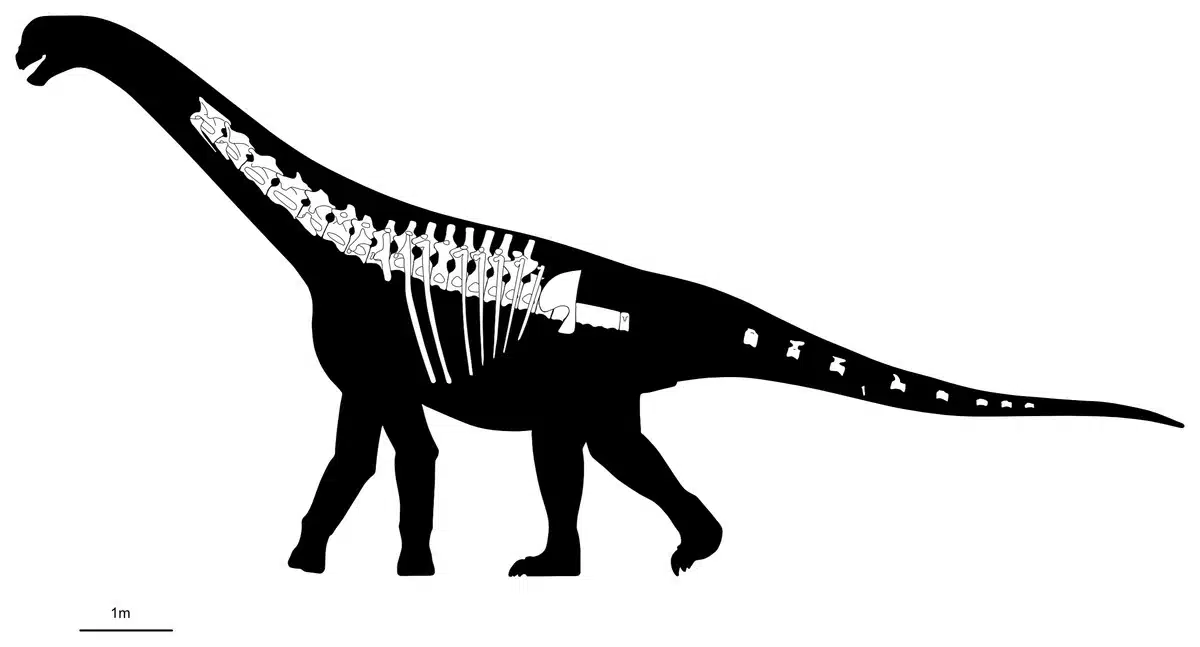 Artistic Reconstruction Of Bicharracosaurus Dionidei